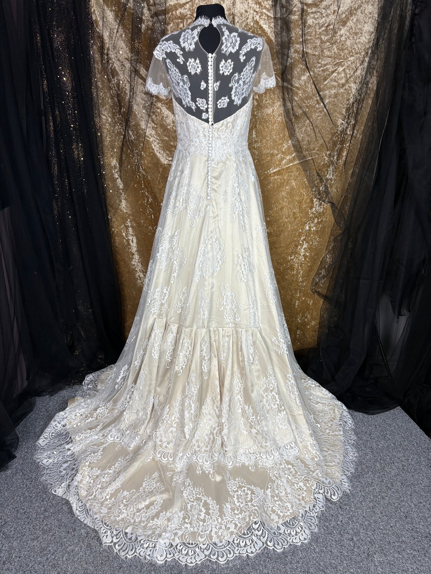 Wildly Vivacious Venetia