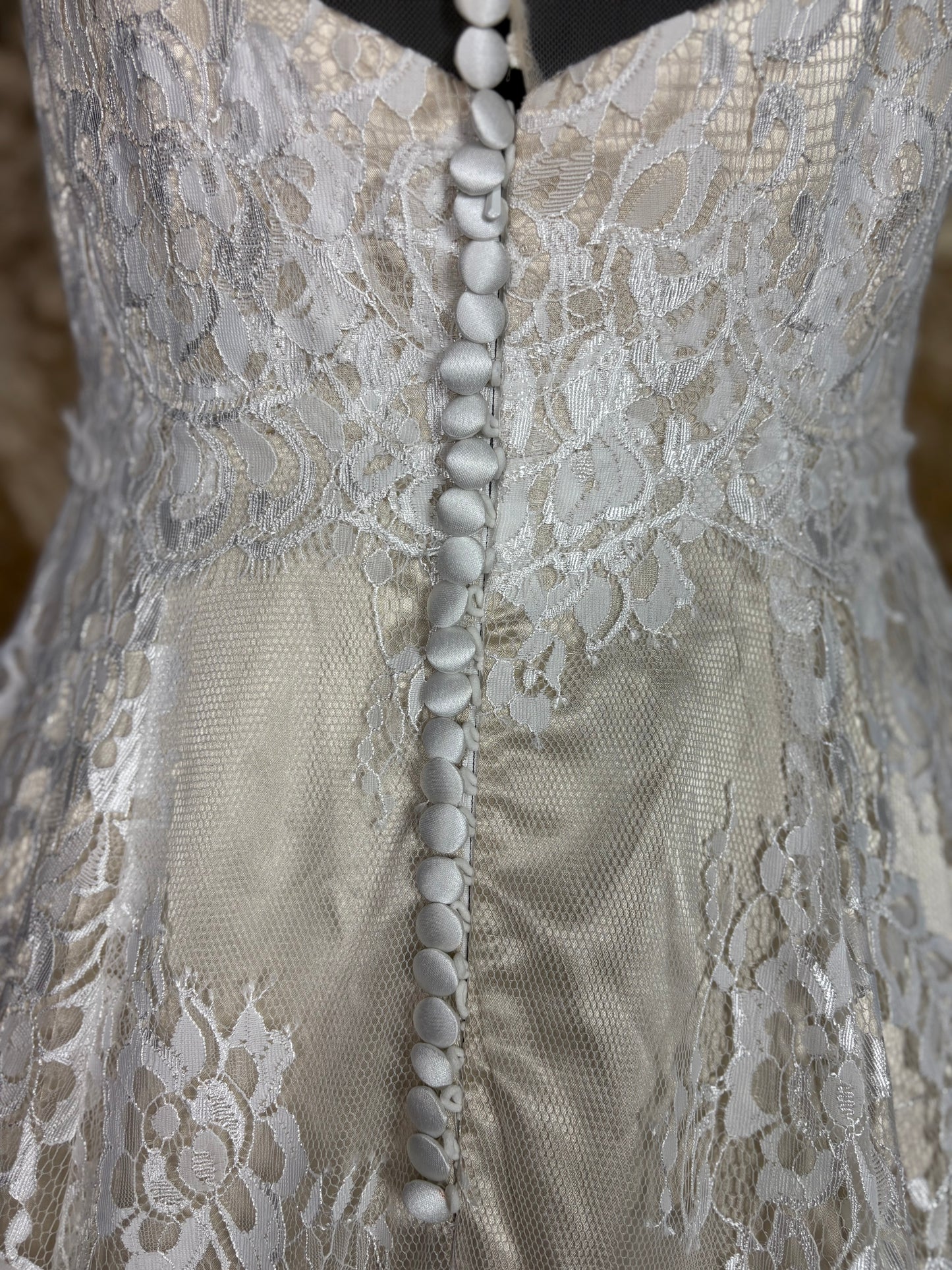 Wildly Vivacious Venetia