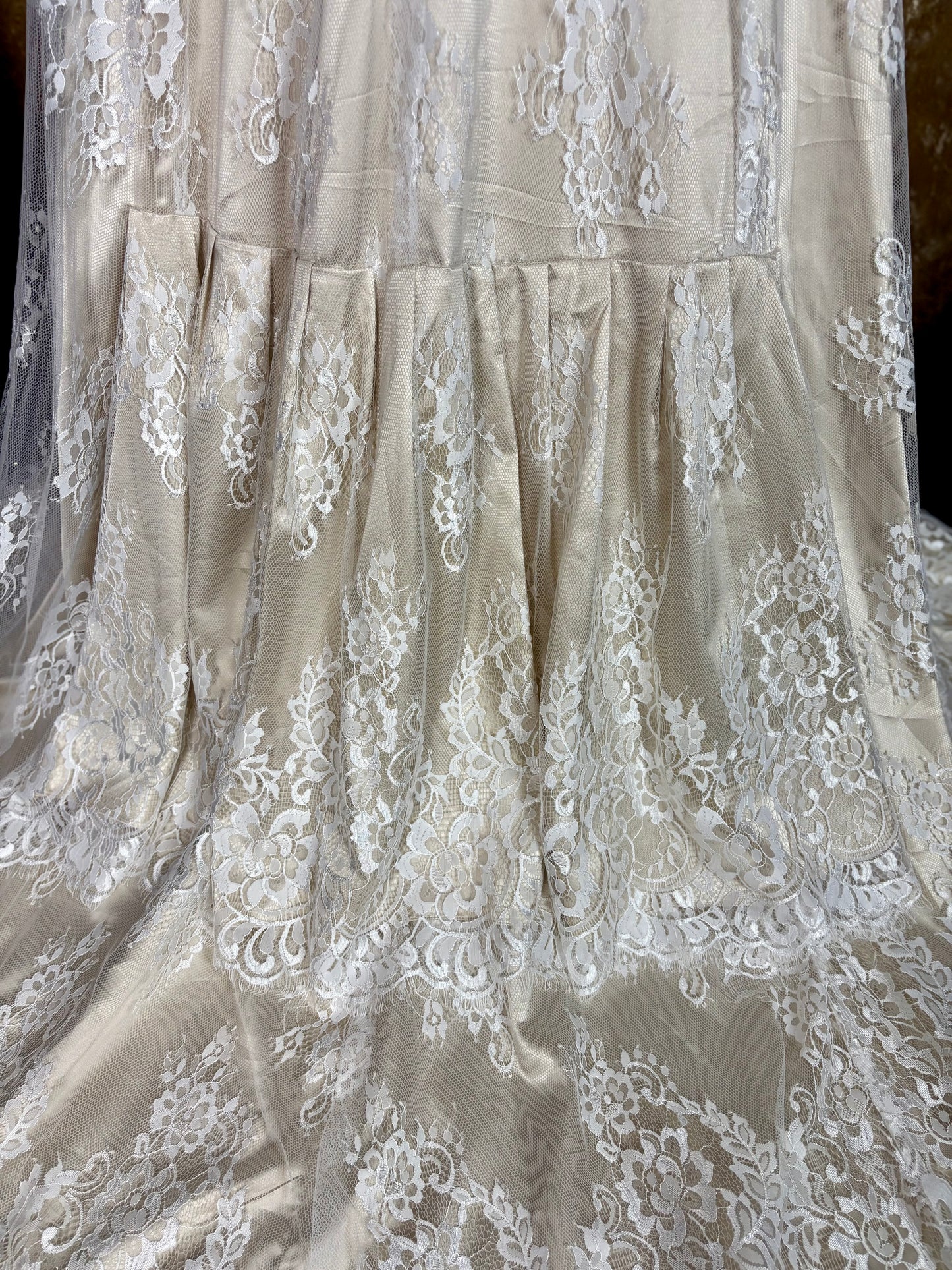 Wildly Vivacious Venetia