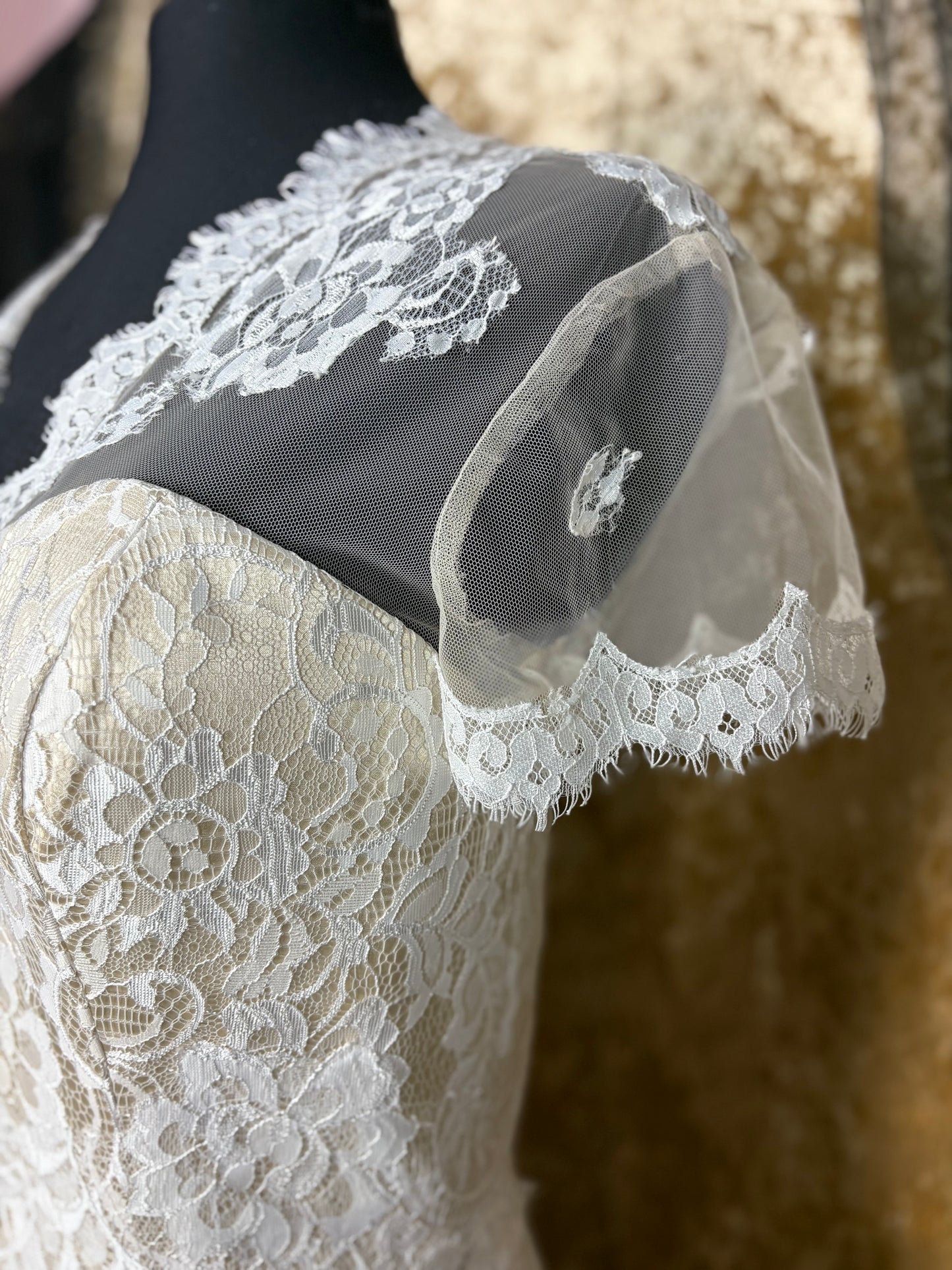 Wildly Vivacious Venetia